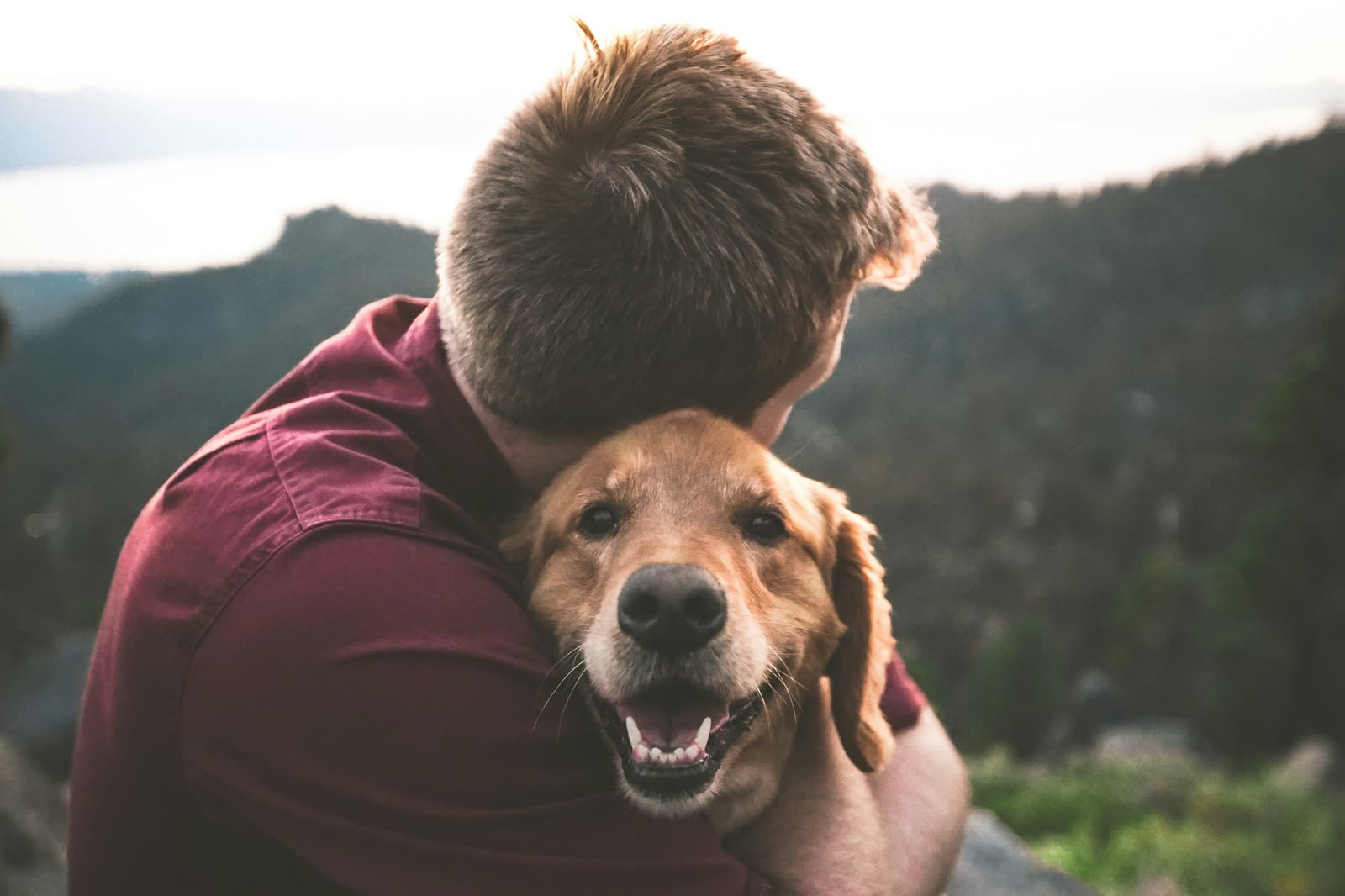 Ein junger Mann in rotem Hemd drückt seinen Golden Retriever an sich, der Hund lacht in die Kamera, dahinter Berge im Abendlicht